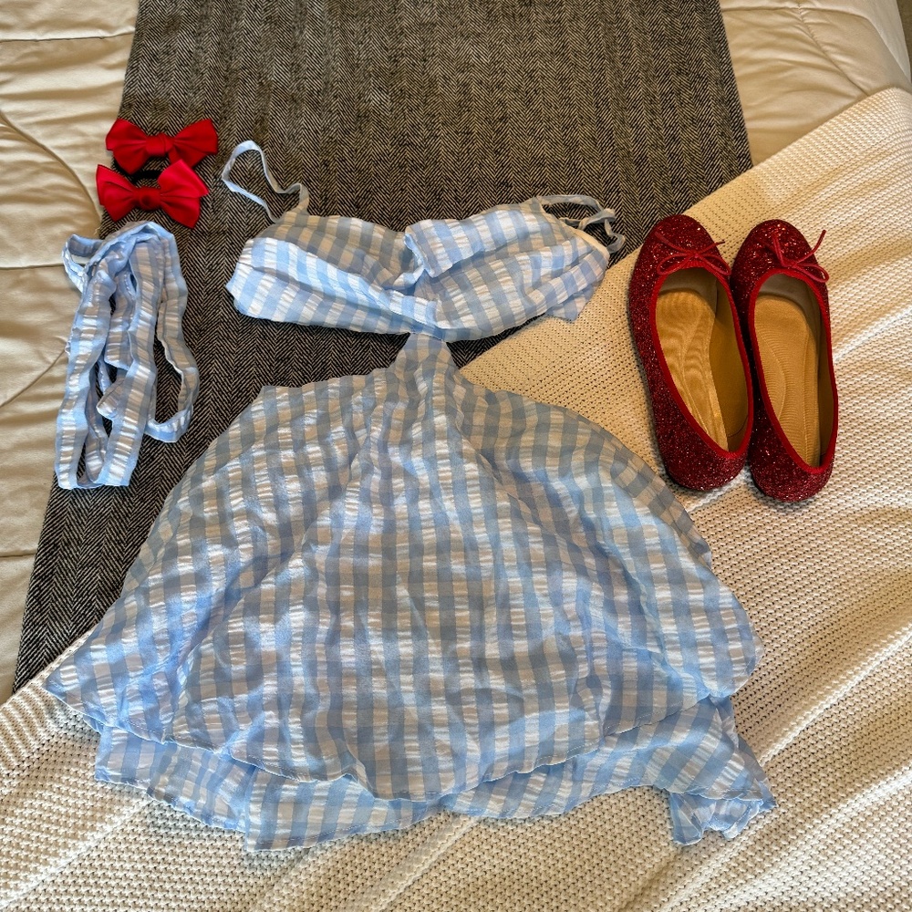 Dorothy Costume